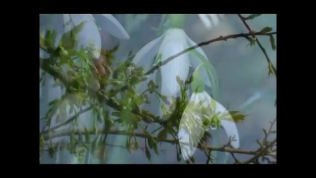 Загрязнение природы. Задумайтесь. смотреть онлайн