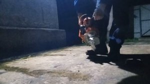 Бензопила ДРУЖБА!!!
