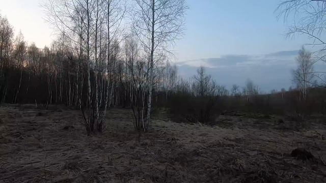 В поисках весеннего вальдшнепа с ТОЗ-34 смотреть онлайн