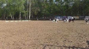 Пони Клуб Измайлово.Тренировка.