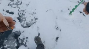 КИЛЕЦ (РИПУС) КЛЮЁТ ОДИН ЗА ОДНИМ! В ТАКИХ КОЛИЧЕСТВАХ Я ЕГО ЕЩЕ НЕ ЛОВИЛ! РЫБАЛКА В КАРЕЛИИ 2022