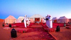 Бедуины. Пустыня в которой живут Бедуины. Пустыня Синая. Египет.