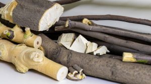 Раз в год стреляет и палка