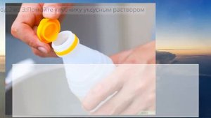 Как помыть клубнику