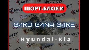 НОВЫЕ ШОРТ-БЛОКИ! G4KD G4NA G4KE! Обзор!