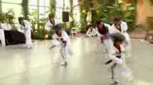 ТАЭКВОНДО (ВЫСТУПЛЕНИЕ)