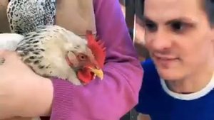 Gan 13 Бабушка И Нефертина