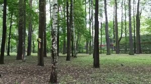 куда пойти погулять с детьми в подмосковье - перловка мытищинский район