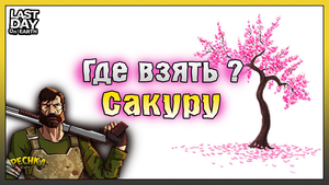 Где взять Саженец Сакуры! НОВЫЙ Хэллоуинский набор! Last Day on Earth: Survival