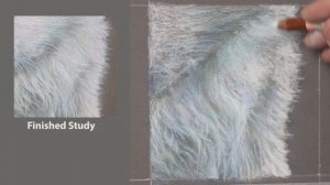 Draw/paint White Fur ~ using orange and blue, red and yellow. Simply mix as you go. Pastel Tutorial