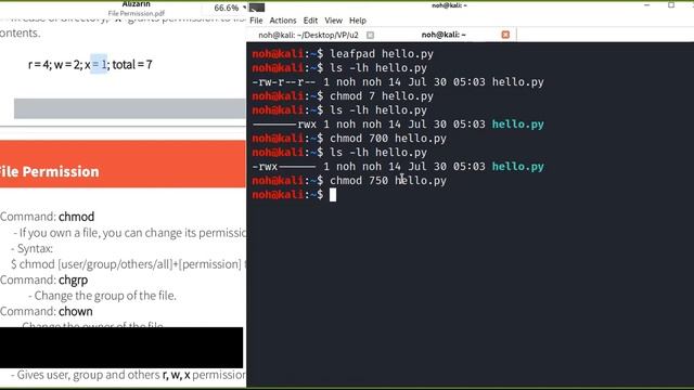 Linux Commands for Python Developers: File Permissions