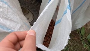 ТЕХНИКА ДЛЯ ЧИСТКИ ФУНДУКА НА БАЗЕ ТРАКТОРА (БЕЛАРУС МТЗ) СВОИМИ РУКАМИ