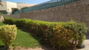 Aurora Oriental Resort Sharm El Sheikh 5*.первый день отдыха