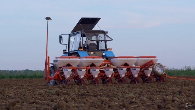 Кукуруза на силос. Правильный посев и удобрения.