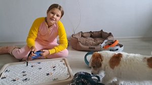 показываю что надо для того чтобы завести щенка