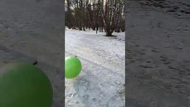 6 марта 2020 г. смотреть онлайн