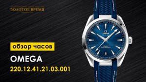 Omega Seamaster Aqua Terra 220.12.41.21.03.001