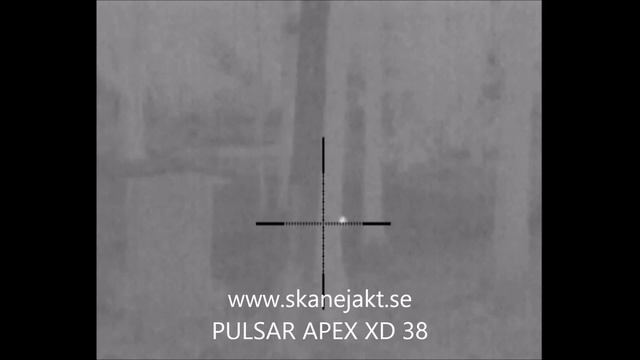 Pulsar Apex XD38 смотреть онлайн