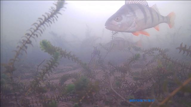 Рыбалка на Байкале. Залив провал. смотреть онлайн