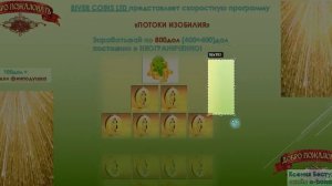 ПОТОКИ ИЗОБИЛИЯ Акция +300 долларов на счет