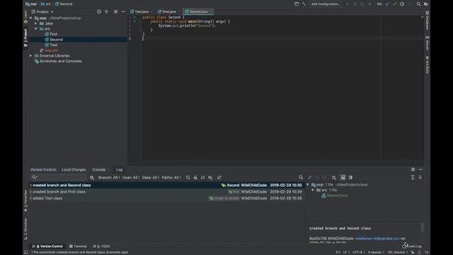 Как установить проект под версионный контроль