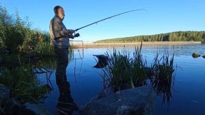 Что клюет на переливе? Рыбалка на Белоярском водохранилище.