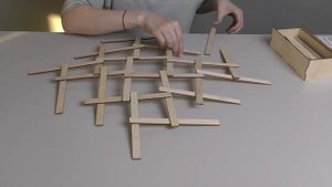 Сборка "Мост Да Винчи и другие конструкции"