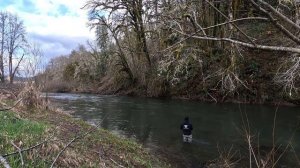 Second steelhead trip