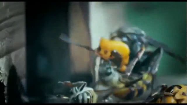 Пчелы против шершней смотреть онлайн