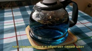 Синий чай Анчан. Заваривание.