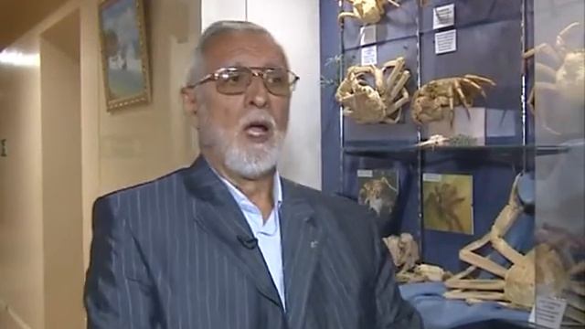 Морское собрание. Нашествие крабов и осьминогов у берегов Приморья