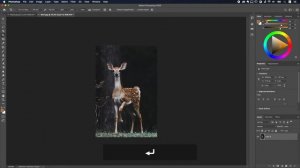 Photoshop (Урок 2) Размер изображения, слои, трансформация в Adobe Photoshop