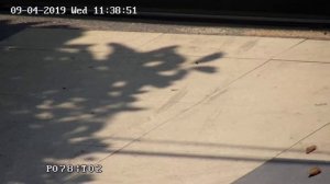 Kamera cctv ip ptz hikvision ds-2de4225iw-de 25 x zoom