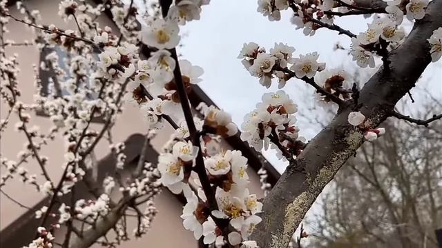 видео для Малыша из канала А-ну-ка давайка смотреть онлайн