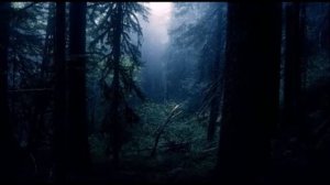 Как избавиться от созависимости, ничего не делая для этого