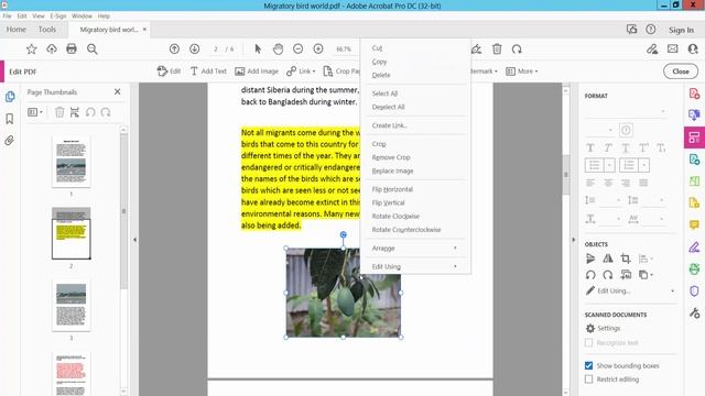 How to resize an image in a PDF file using adobe acrobat pro dc смотреть онлайн