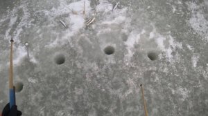 Рыбалка на эти ловчие снасти КОМБАЙНЫ! Косяк рыбы стоит под моими ногами!