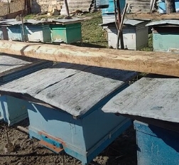 ПЧЁЛЫ подкормка зимой