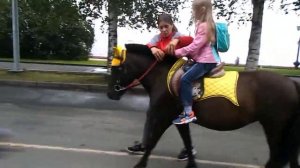 Первый урок обучения верховой езде.