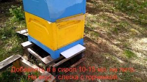 Клещ варроа полынь