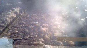 Снегоплавильная установка ОСА-1.12