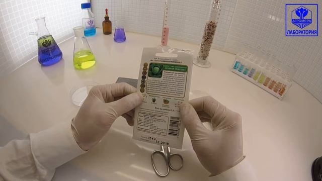 Капуста белокочанная Лосиноостровская 8. Поиск