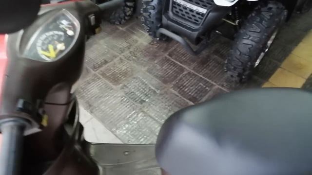 Хонда Такт AF-51,,,, За что их так любят в России??? смотреть онлайн