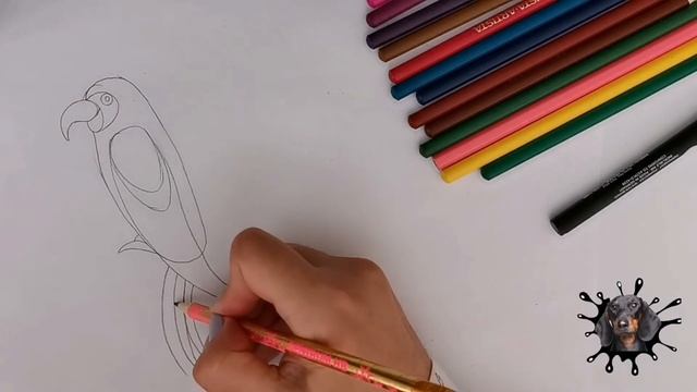 Как нарисовать попугая. Рисование для детей. #таксакляксарисуем #рисованиедлядетей #painting смотреть онлайн