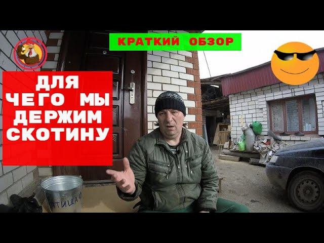 Хоз двор пмр. Хоз двор пмр