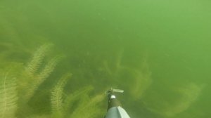 Подводное плавание, озеро Яльчик, Марий Чодра (Yalchik lake, diving)