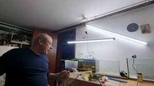 Аквариум фитофильтр после одного года работы