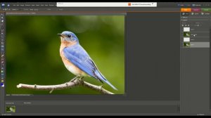 Digital Mosiac Photoshop Elements Part 2: Creating Your Layers