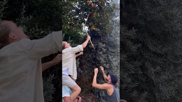 Скоро ретрит с Димой в Турции смотреть онлайн