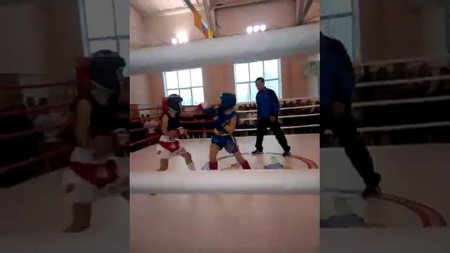 Соревнования по ушу Липецк смотреть онлайн